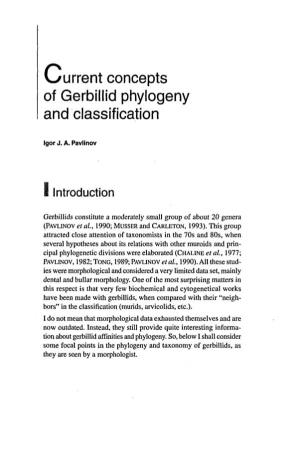 Ourrent Concepts of Gerbillid Phylogeny and Classification