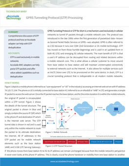 GPRS Tunneling Protocol (GTP) Processing