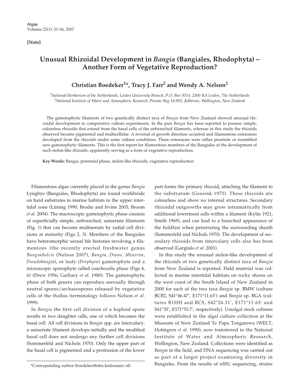 Unusual Rhizoidal Development in Bangia (Bangiales, Rhodophyta) – Another Form of Vegetative Reproduction?