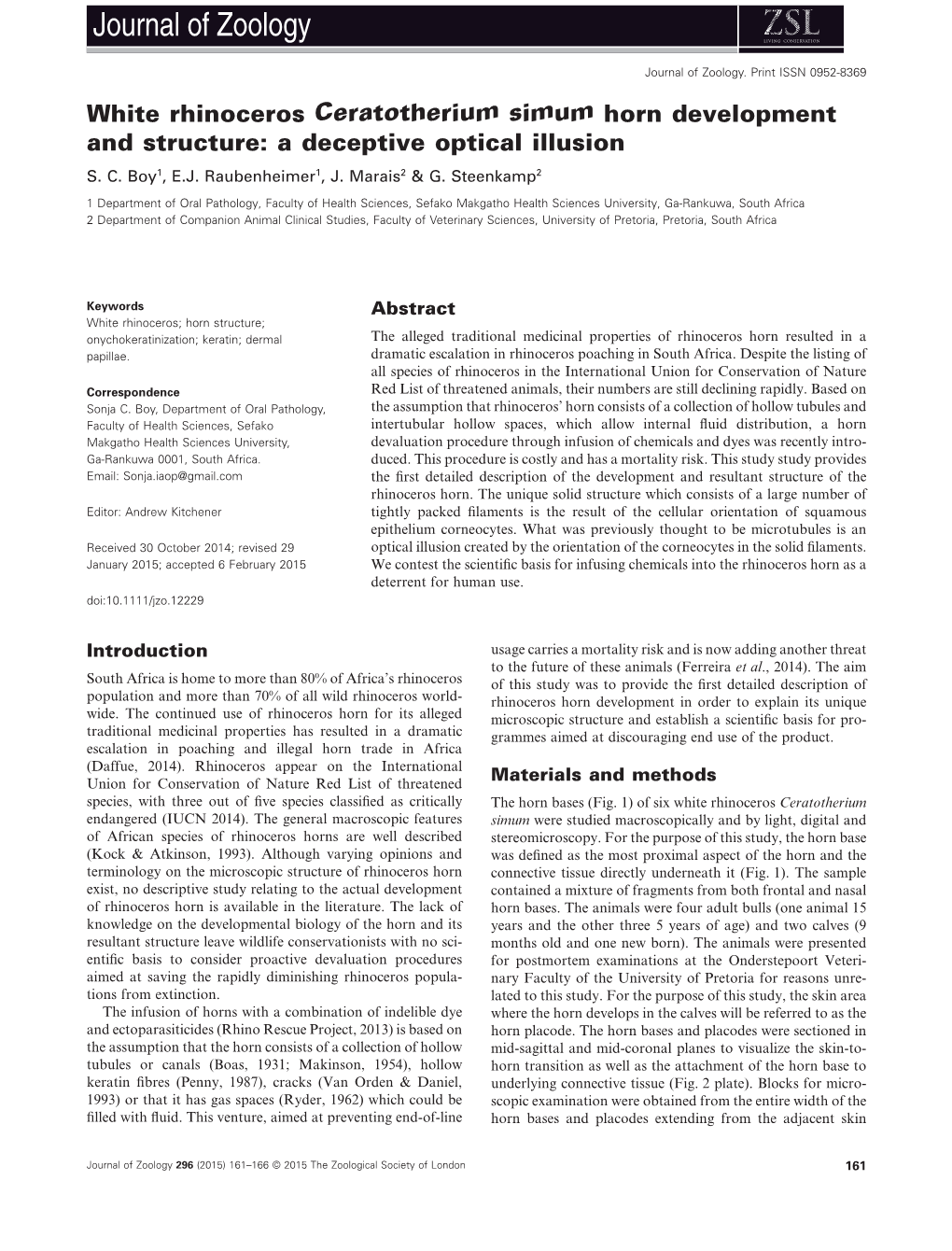 White Rhinoceros Ceratotherium Simum Horn Development and Structure: a Deceptive Optical Illusion S