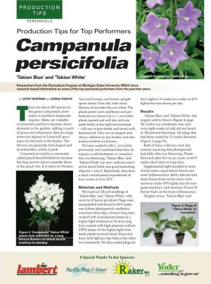 Campanula Persicifolia ‘Takion Blue’ and ‘Takion White’ Figure 1