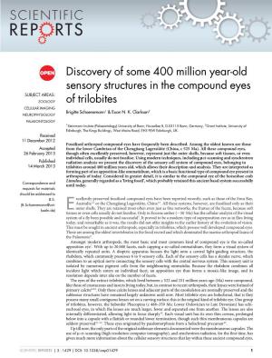 Discovery of Some 400 Million Year-Old Sensory Structures in the Compound Eyes SUBJECT AREAS: ZOOLOGY of Trilobites CELLULAR IMAGING Brigitte Schoenemann1 & Euan N