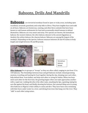 Baboons, Drills and Mandrills