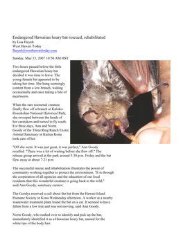 Endangered Hawaiian Hoary Bat Rescued, Rehabilitated by Lisa Huynh West Hawaii Today Lhuynh@Westhawaiitoday.Com