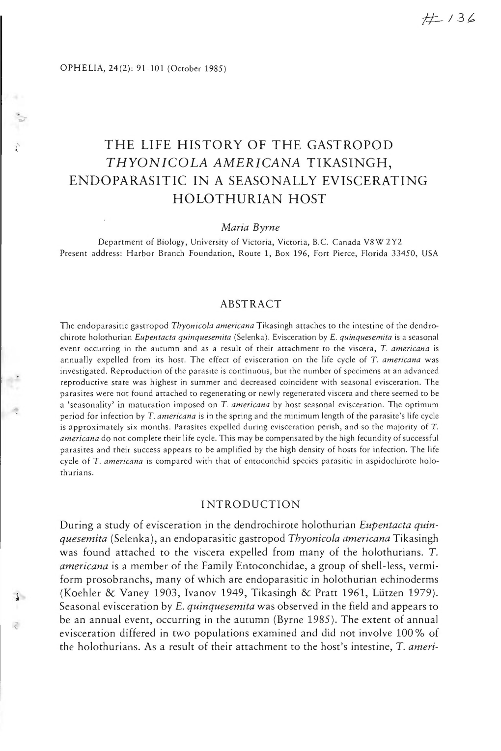 The Life History of the Gastropod Thyonicola Americana Tikasingh, Endoparasitic in a Seasonally Eviscerating Holothurian Host