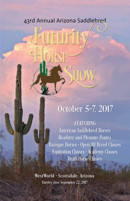 Horse Show Horse Show