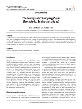 The Biology of Echinoparyphium (Trematoda, Echinostomatidae)