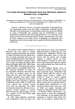 A New Genus and Species of Buteonine Hawk from Quaternary Deposits in Bermuda (Aves: Accipitridae)