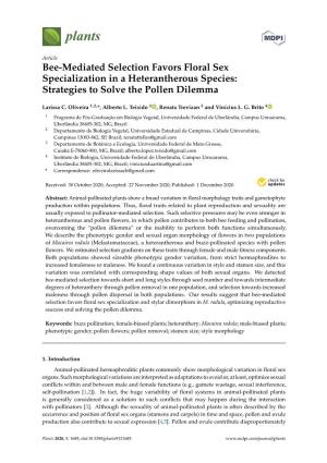 Bee-Mediated Selection Favors Floral Sex Specialization in a Heterantherous Species: Strategies to Solve the Pollen Dilemma
