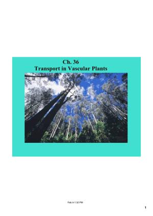 Ch. 36 Transport in Vascular Plants