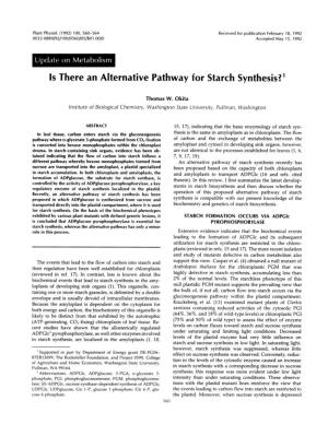 Is There an Alternative Pathway for Starch Synthesis?'