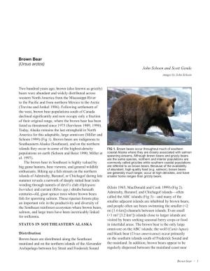 Brown Bear (Ursus Arctos) John Schoen and Scott Gende Images by John Schoen