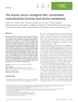 The Breast Cancer Oncogene Ikke Coordinates Mitochondrial Function and Serine Metabolism
