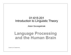 Language Processing and the Human Brain