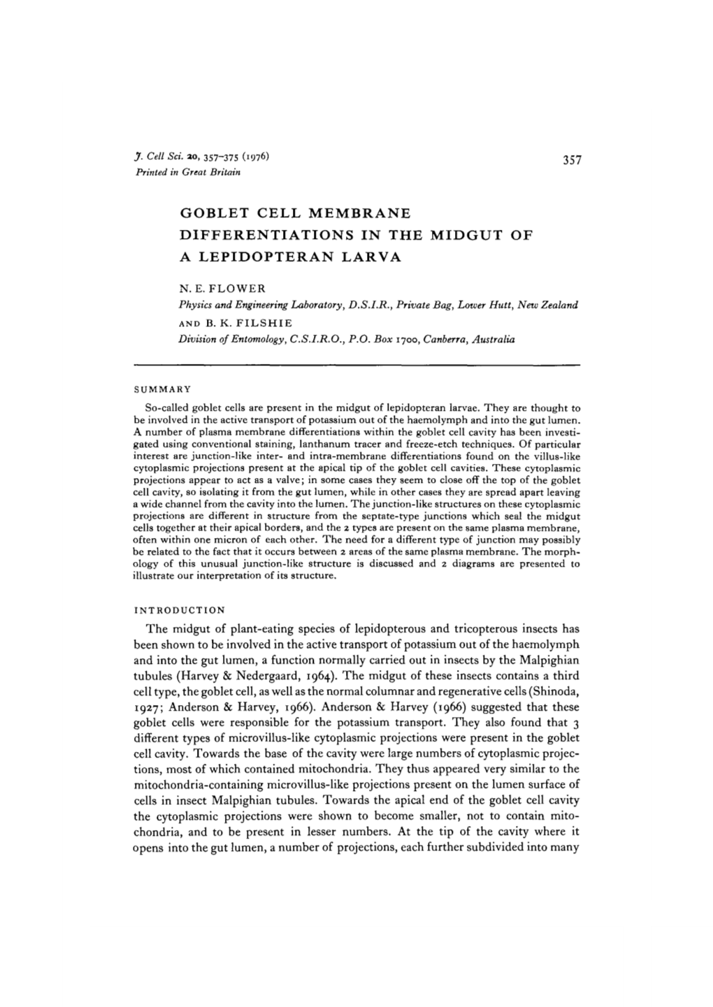 Goblet Cell Membrane Differentiations in the Midgut of a Lepidopteran Larva