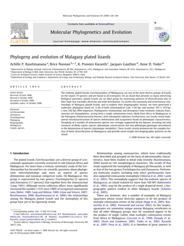 Phylogeny and Evolution of Malagasy Plated Lizards