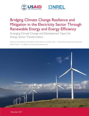 Bridging Climate Change Resilience and Mitigation in the Electricity