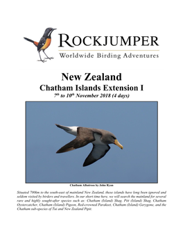 New Zealand Chatham Islands Extension I 7Th to 10Th November 2018 (4 Days)