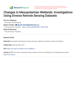 Changes in Mesopotamian Wetlands: Investigations Using Diverse Remote Sensing Datasets