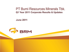 PT Bumi Resources Minerals Tbk