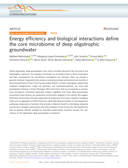 Energy Efficiency and Biological Interactions Define the Core Microbiome of Deep Oligotrophic Groundwater