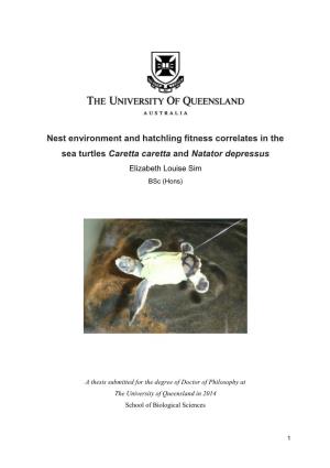 Nest Environment and Hatchling Fitness Correlates in the Sea Turtles Caretta Caretta and Natator Depressus Elizabeth Louise Sim Bsc (Hons)