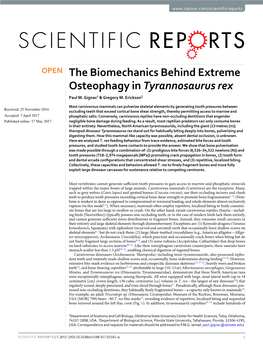 The Biomechanics Behind Extreme Osteophagy in Tyrannosaurus Rex Paul M