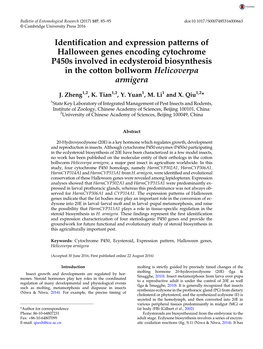 Identification and Expression Patterns of Halloween Genes Encoding Cytochrome P450s Involved in Ecdysteroid Biosynthesis in the Cotton Bollworm Helicoverpa Armigera