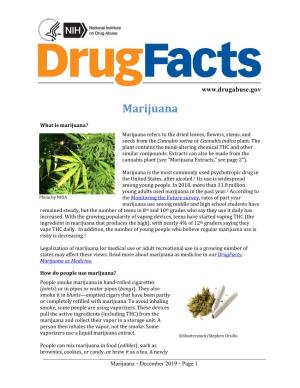 Drugfacts-Marijuana.Pdf