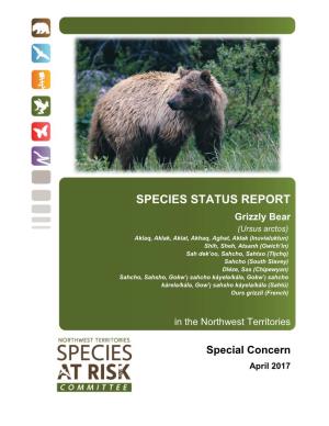 Status Report and Assessment of Grizzly Bear