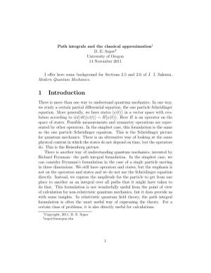 Path Integrals and the Classical Approximation1 D