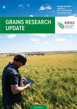 Grains Research Update