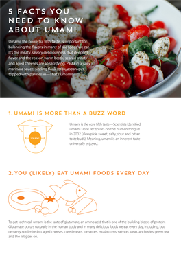 5 Facts You Need to Know About Umami