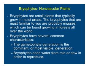 Nonvascular Plants • Bryophytes Are Small Plants That Typically Grow In