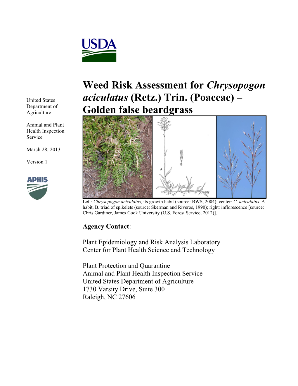 Chrysopogon Aciculatus, Its Growth Habit (Source: BWS, 2004); Center: C