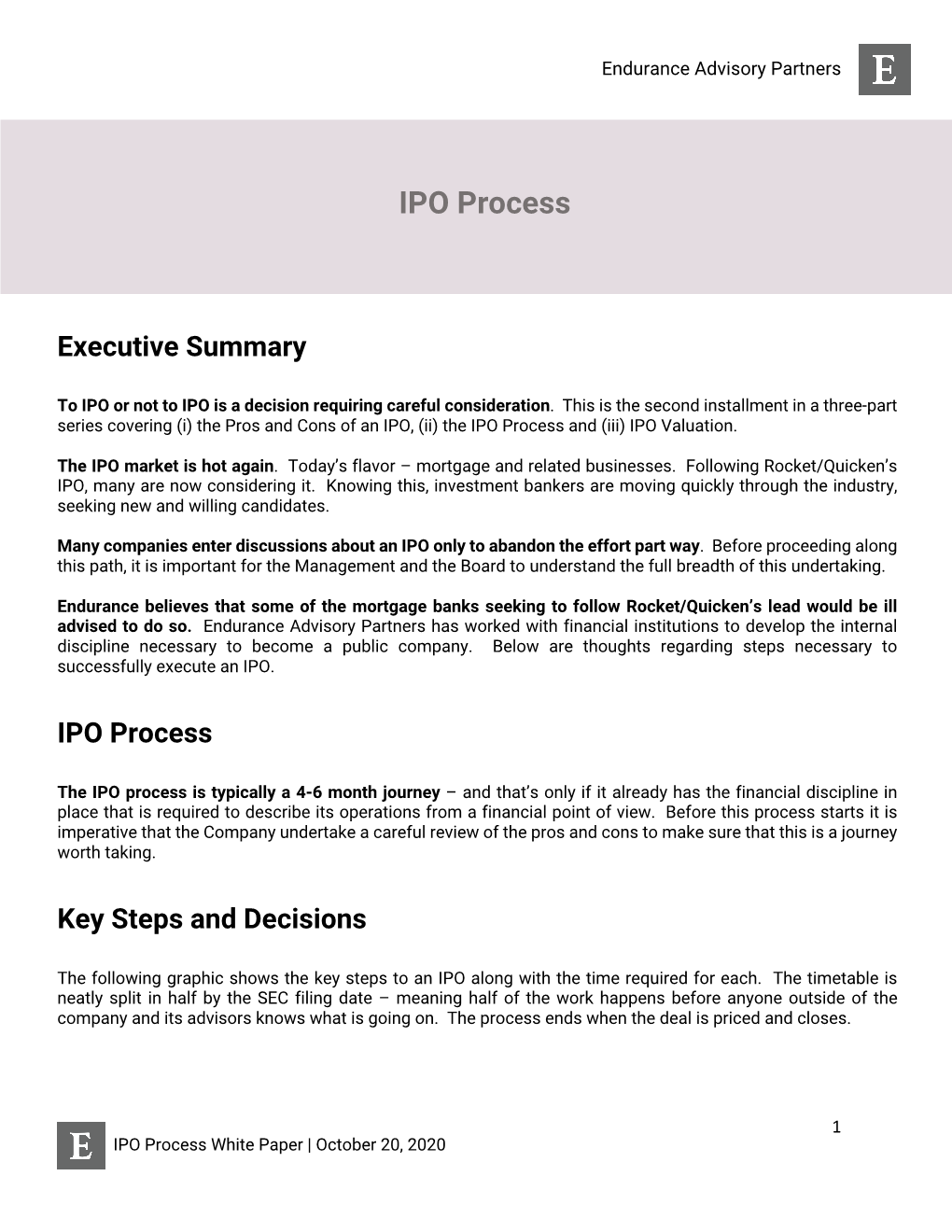 Endurance IPO Process White Paper