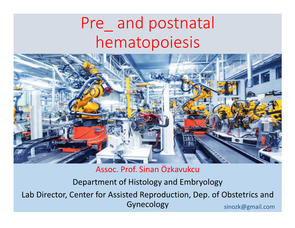 Pre and Postnatal Hematopoiesis