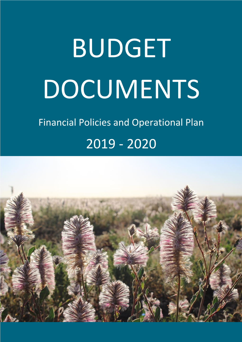 Financial Policies and Operational Plan 2019 - 2020 Contents