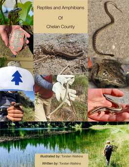 Reptiles and Amphibians of Chelan County