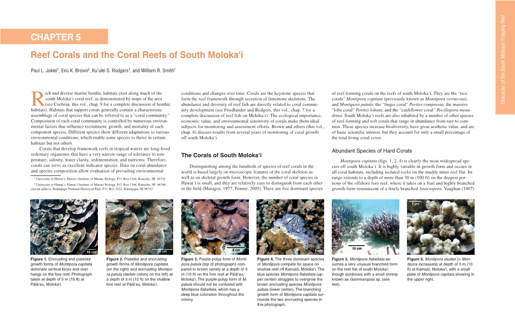 Sea Level and Its Effects on Reefs in Hawaiÿi