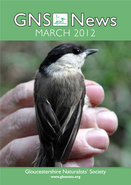 GNS News MARCH 2012