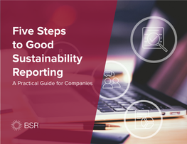 Five Steps to Good Sustainability Reporting a Practical Guide for Companies