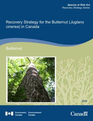Recovery Strategy for the Butternut (Juglans Cinerea) in Canada