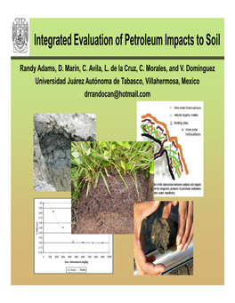 Integrated Evaluation of Petroleum Impacts to Soil