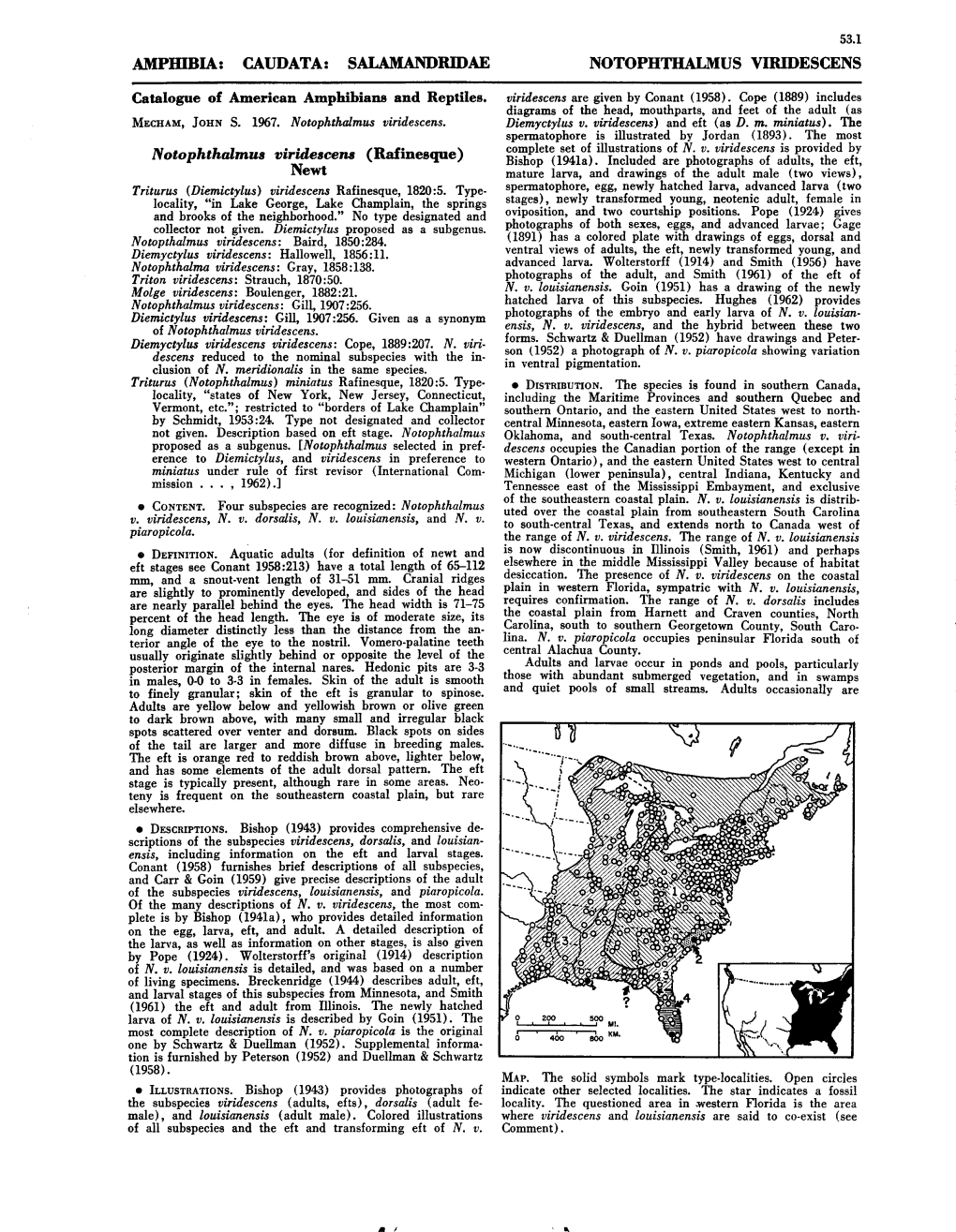 Notophthalmus Viridescens (Rafinesque) Bishop (1941A)