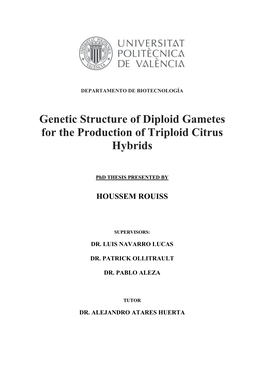 Genetic Structure of Diploid Gametes for the Production of Triploid Citrus Hybrids