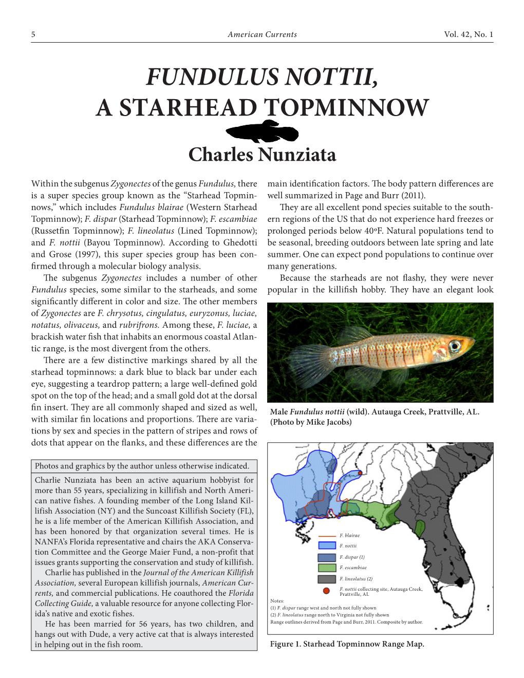 Fundulus Nottii, a Starhead Topminnow