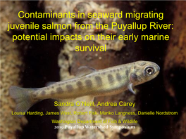 Contaminants in Seaward Migrating Juvenile Salmon from the Puyallup River: Potential Impacts on Their Early Marine Survival