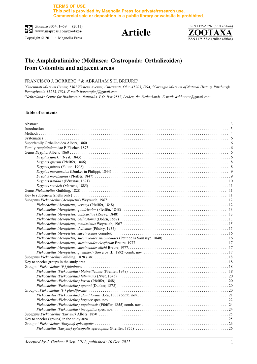 The Amphibulimidae (Mollusca: Gastropoda: Orthalicoidea) from Colombia and Adjacent Areas