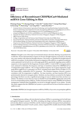 Efficiency of Recombinant CRISPR/Rcas9-Mediated Mirna